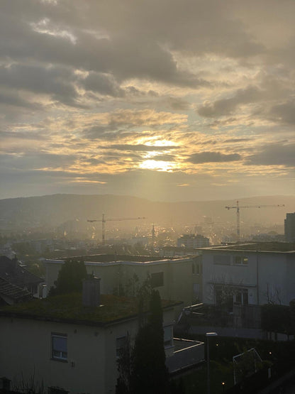 "Wohnung in Zürich"